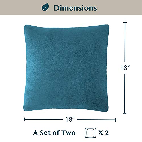 Decorative Throw Pillow Covers, Set of 2, 18x18